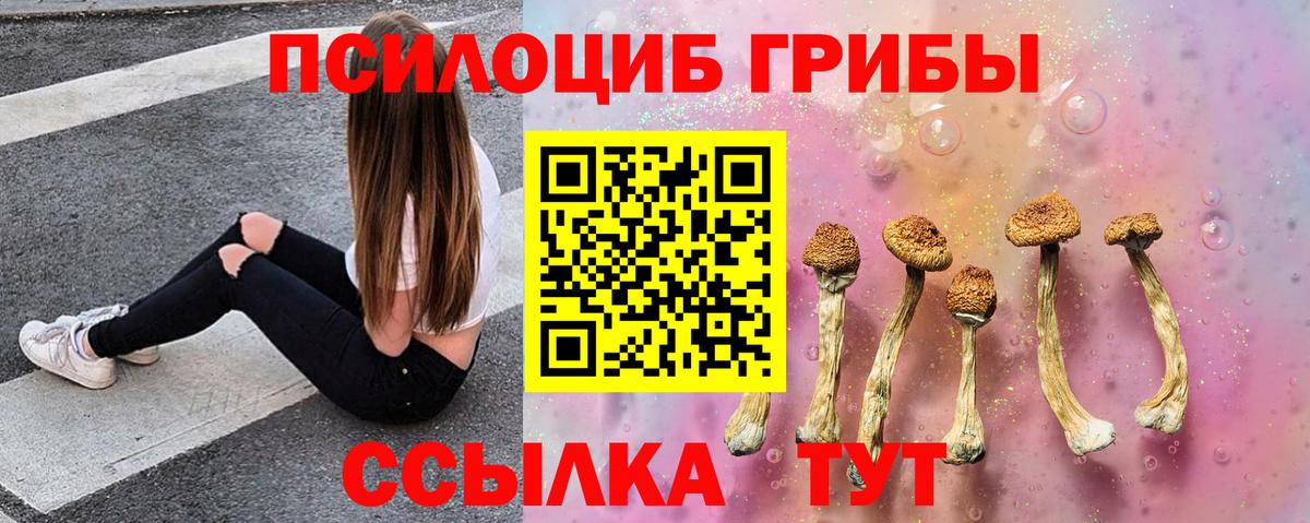 Псилоцибиновые грибы Cubensis Соликамск